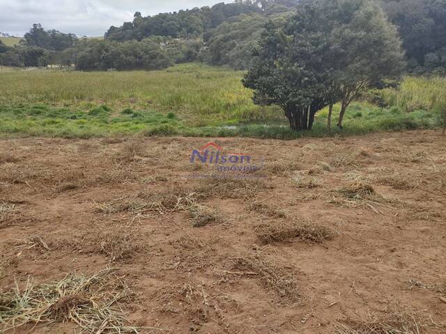 #136 - Terreno para Venda em São Paulo - SP - 2